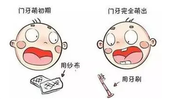 K~0BP~L0H`22}5132PGD`XN.png K~0BP~L0H`22}5132PGD`XN.png