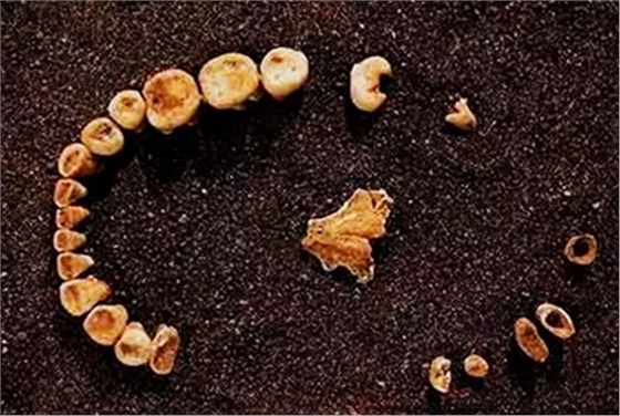 640.webp (1).jpg 640.webp (1).jpg