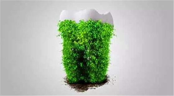 640.webp (10).jpg 640.webp (10).jpg