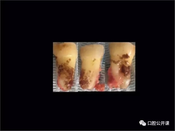 22.webp.jpg 22.webp.jpg