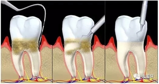 11.webp (1).jpg 11.webp (1).jpg