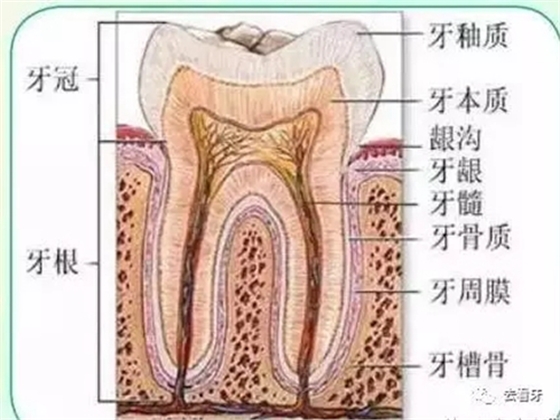 12.webp (1).jpg 12.webp (1).jpg