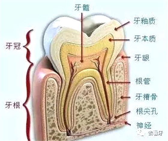 14.webp.jpg 14.webp.jpg