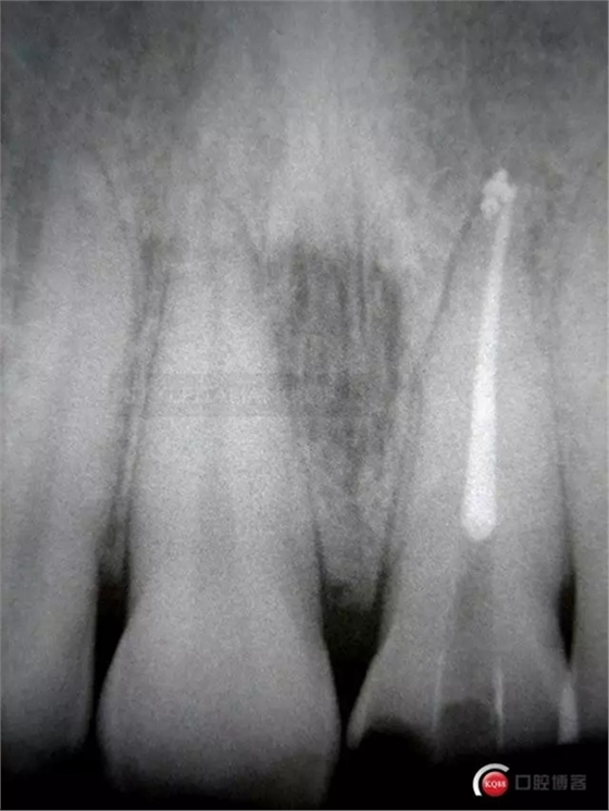 6.webp.jpg 6.webp.jpg