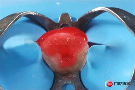 9.webp.jpg 9.webp.jpg