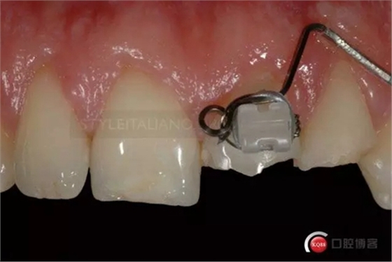 10.webp.jpg 10.webp.jpg