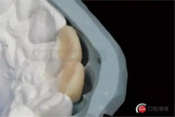 12.webp.jpg 12.webp.jpg