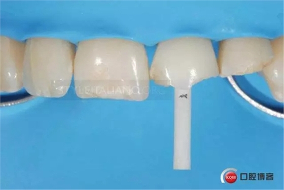 13.webp.jpg 13.webp.jpg