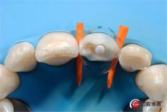 16.webp.jpg 16.webp.jpg