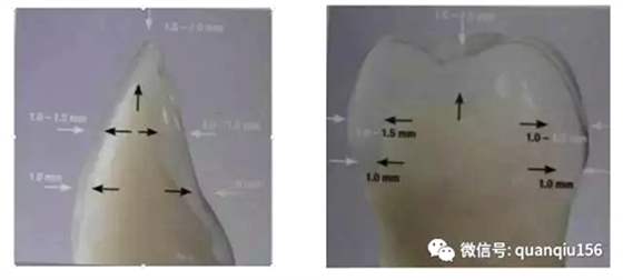 8.webp.jpg 8.webp.jpg