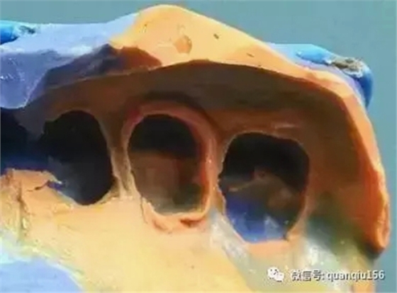 11.webp (1).jpg 11.webp (1).jpg