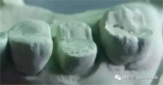 13.webp.jpg 13.webp.jpg