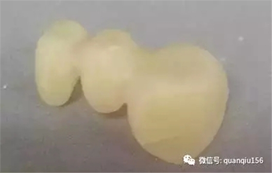 23.webp.jpg 23.webp.jpg