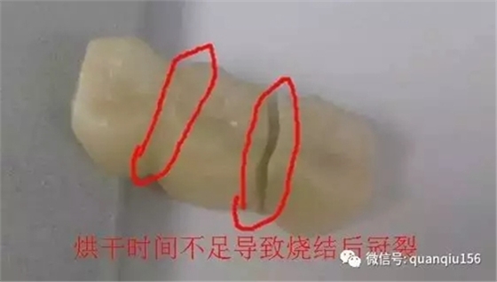 24.webp.jpg 24.webp.jpg