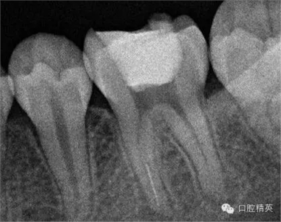 3.webp.jpg 3.webp.jpg