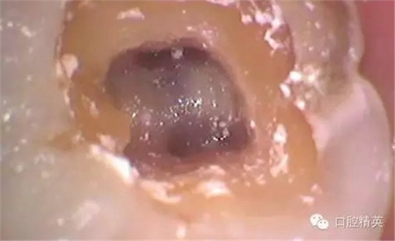 4.webp.jpg 4.webp.jpg