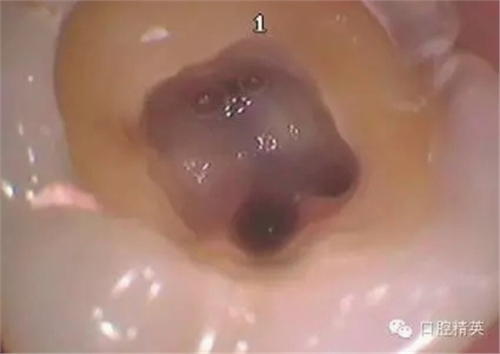 6.webp.jpg 6.webp.jpg