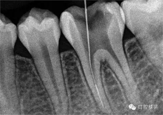 7.webp.jpg 7.webp.jpg