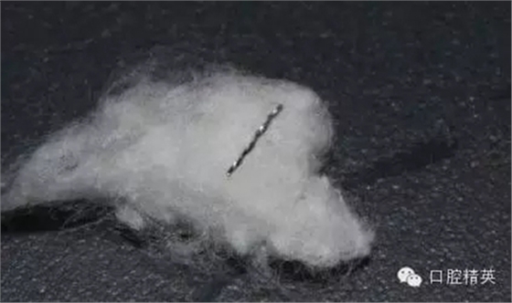 8.webp.jpg 8.webp.jpg