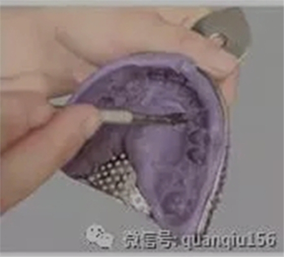 3.webp.jpg 3.webp.jpg