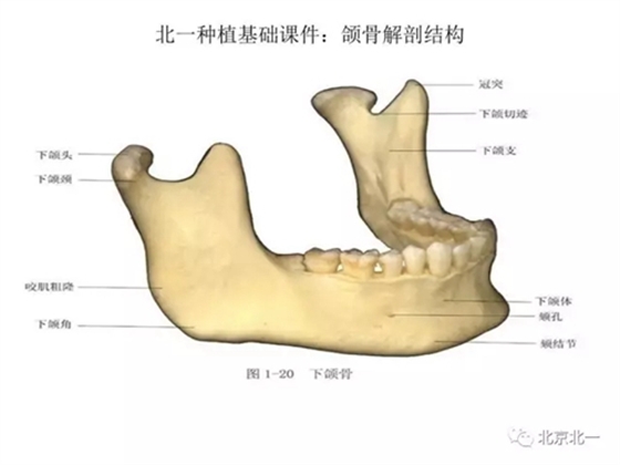 8.webp.jpg 8.webp.jpg