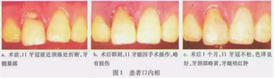 2.webp.jpg 2.webp.jpg