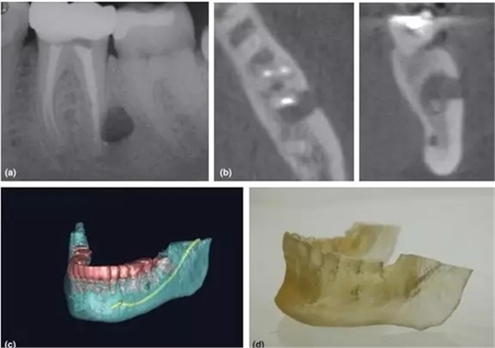 4.webp.jpg 4.webp.jpg