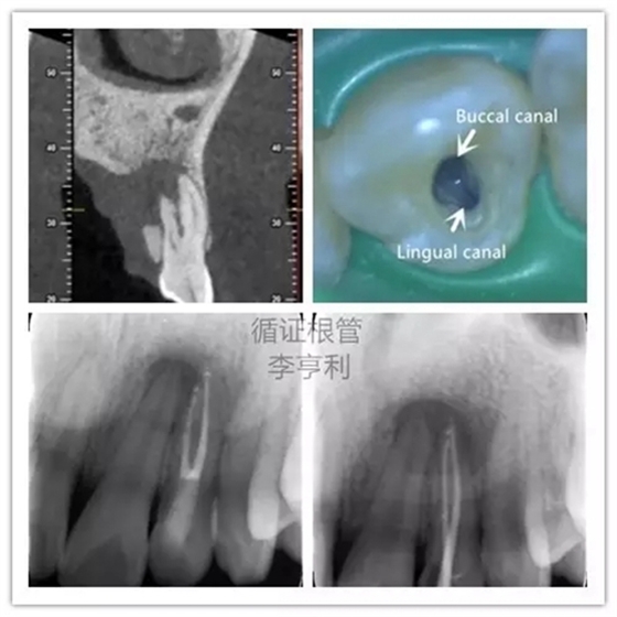 6.webp.jpg 6.webp.jpg