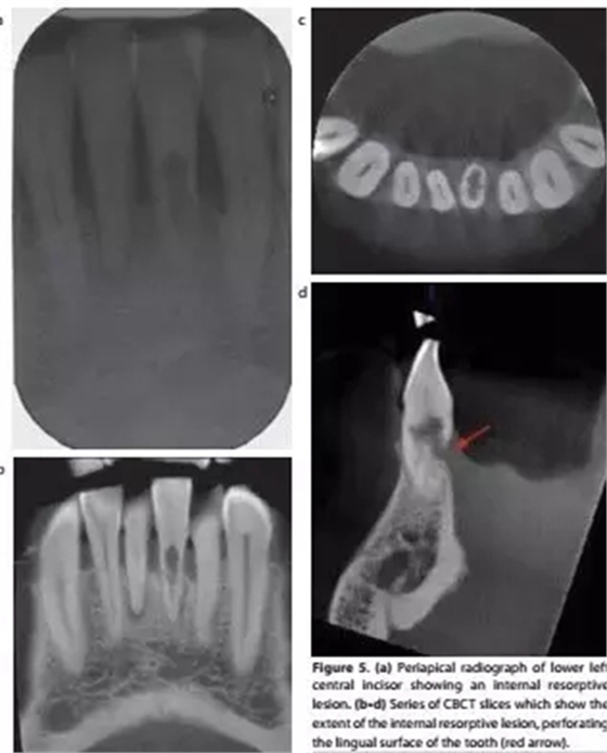 7.webp.jpg 7.webp.jpg