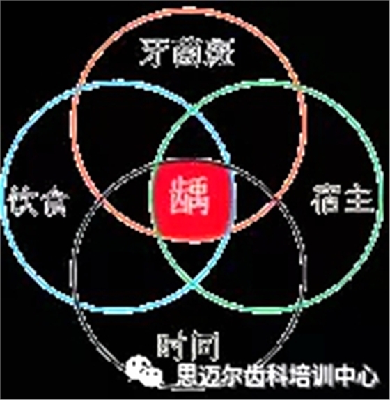 1.webp.jpg 1.webp.jpg