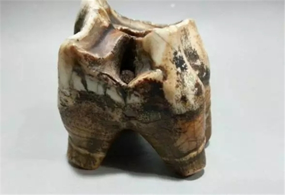 4.webp.jpg 4.webp.jpg