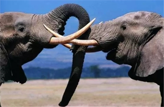 3.webp.jpg 3.webp.jpg