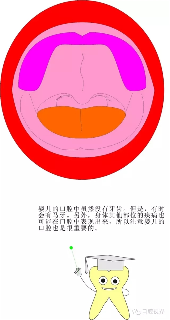 4.webp.jpg 4.webp.jpg