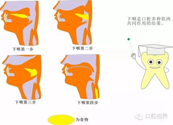 2.webp.jpg 2.webp.jpg