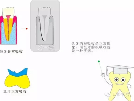 2.webp.jpg 2.webp.jpg