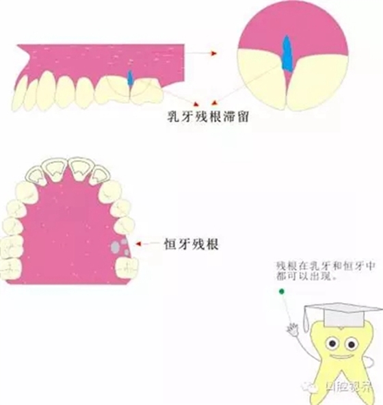 3.webp.jpg 3.webp.jpg