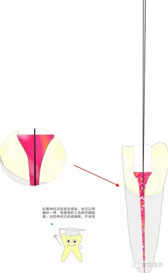 5.webp (1).jpg 5.webp (1).jpg