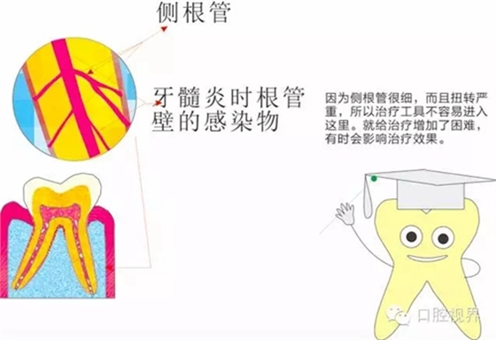 2.webp.jpg 2.webp.jpg