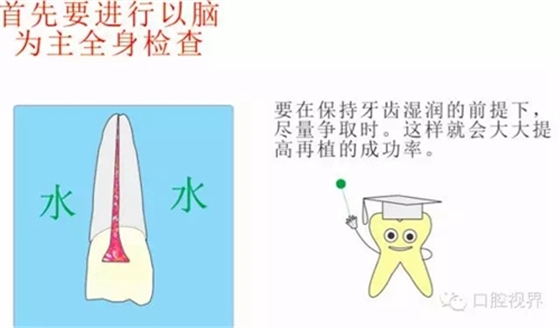 3.webp.jpg 3.webp.jpg