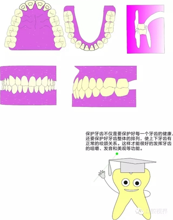 2.webp.jpg 2.webp.jpg