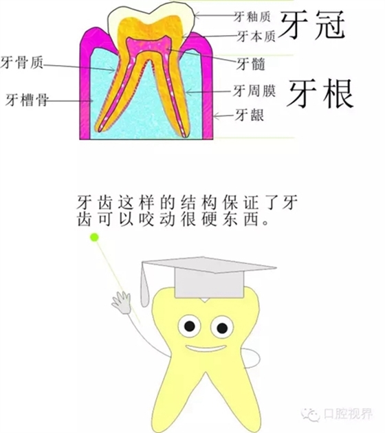 3.webp.jpg 3.webp.jpg