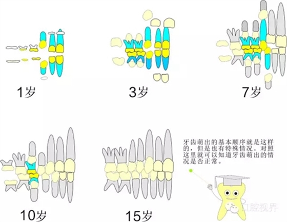 4.webp.jpg 4.webp.jpg