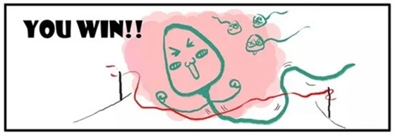 1.webp.jpg 1.webp.jpg