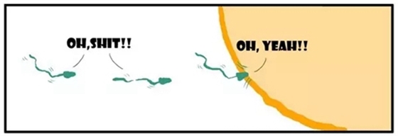 2.webp.jpg 2.webp.jpg