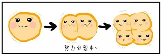 3.webp.jpg 3.webp.jpg