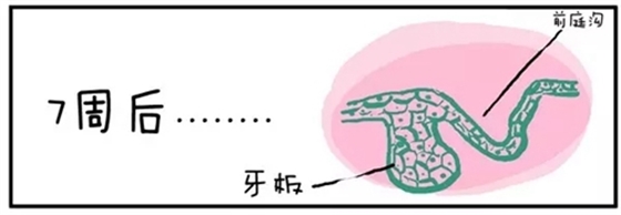 7.webp.jpg 7.webp.jpg