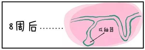 8.webp.jpg 8.webp.jpg