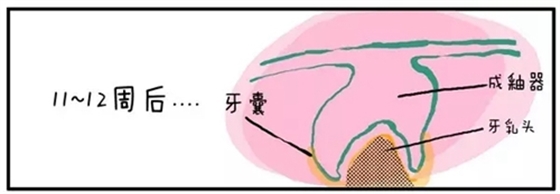 10.webp.jpg 10.webp.jpg