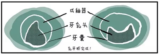 11.webp.jpg 11.webp.jpg