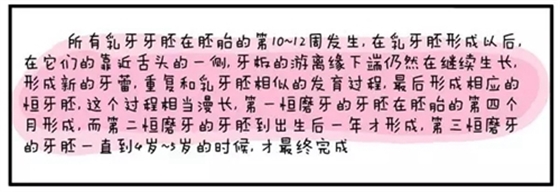 12.webp.jpg 12.webp.jpg